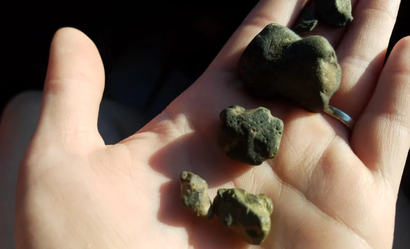 Side Effects of Weed